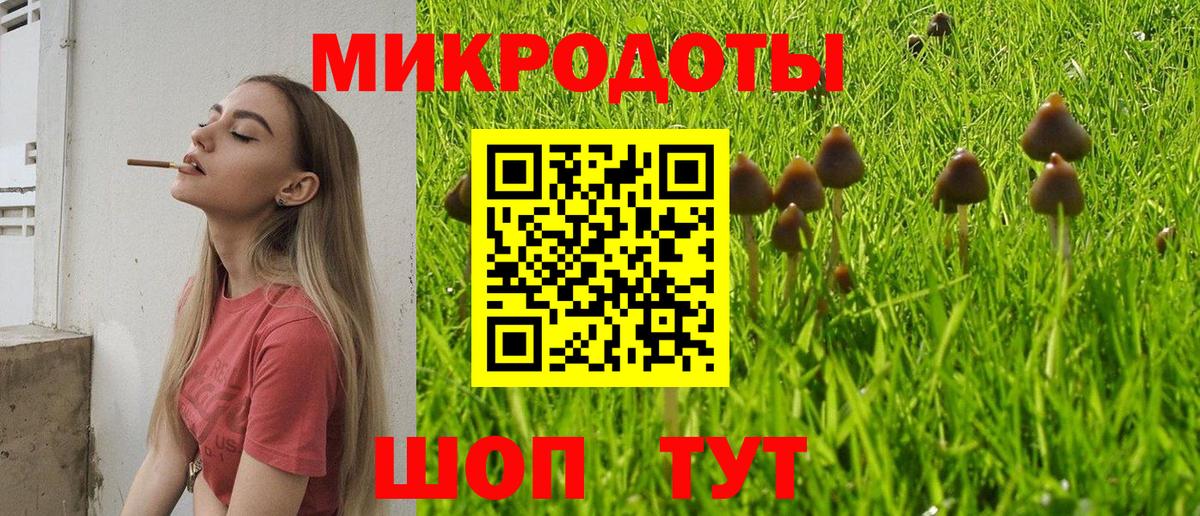 даркнет сайт  Вход с VPN  Нарткала  Псилоцибиновые грибы Psilocybine cubensis 